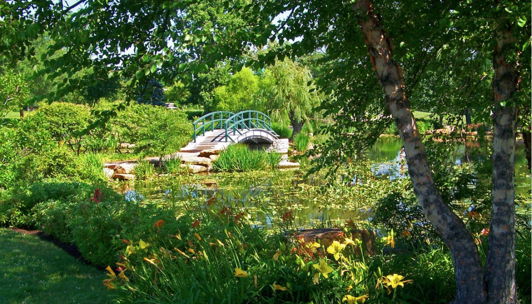 La natura di Monet