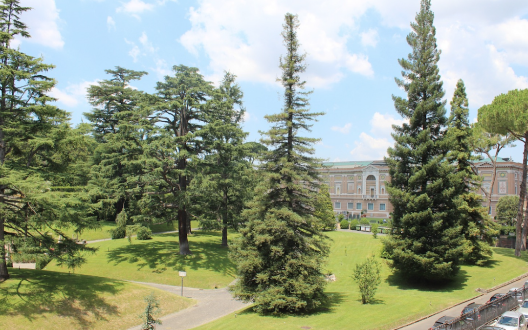 La mia visita ai Giardini Vaticani